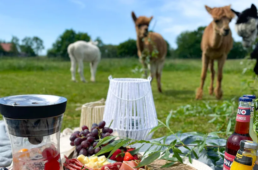 Alpaka Picknick für 2 Petershagen