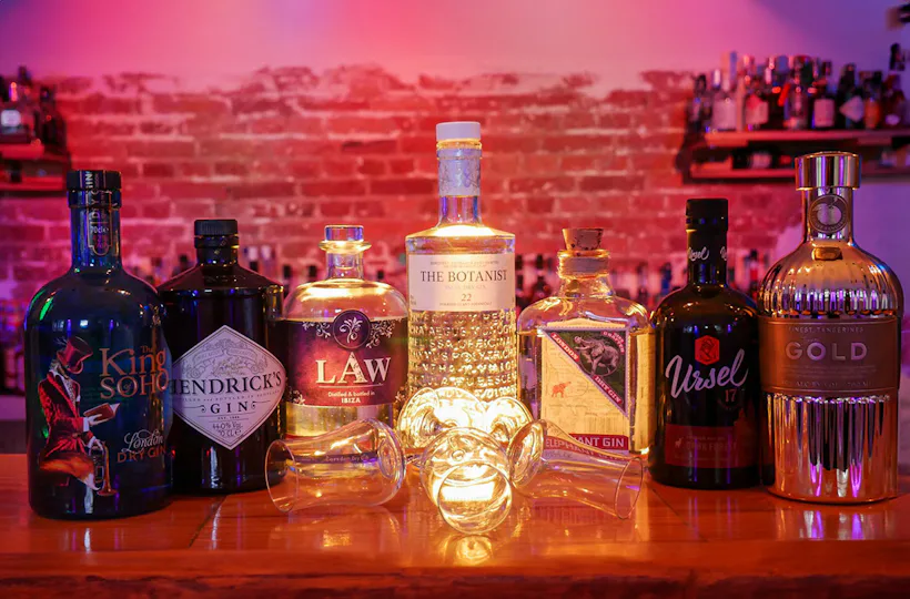 Gin Tasting Frankfurt am Main