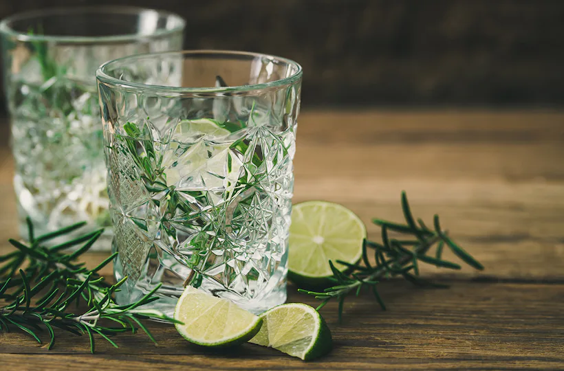 Gin Tasting in Stuttgart (9 Premium Gins)